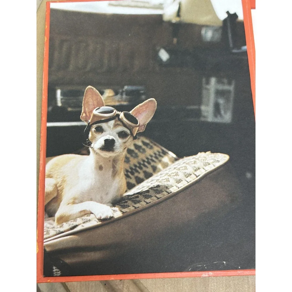 Papyrus Carry-Ons Traveling Chihuahuas Note‎ Cards 20 Ct Envelopes Multicolor